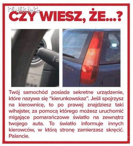 Czy wiesz że?