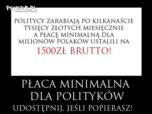 Płaca minimalna dla polityków