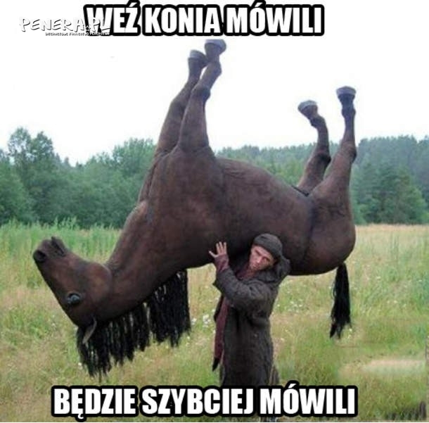 Weź konia mówili