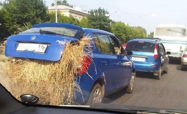 A Ruscy wciąż zaskakują