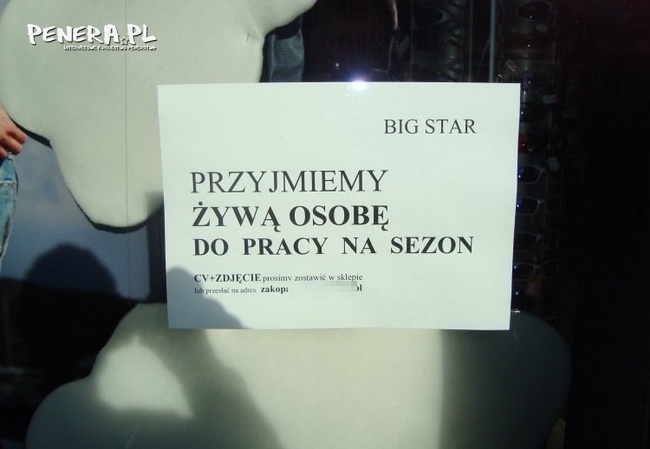 Żywa osoba do pracy pilnie poszukiwana