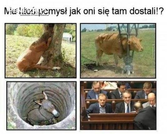 Jak oni się tam dostali?