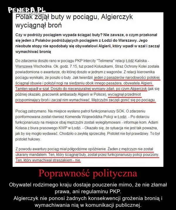 Poprawność polityczna