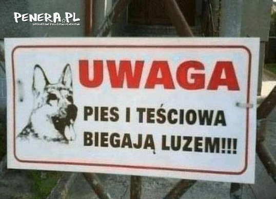 Uwaga na psa i teściową bo