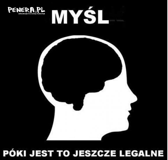 Myśl