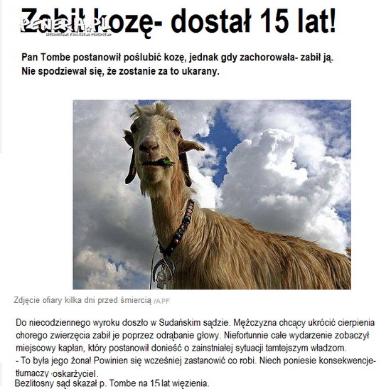 Zabił kozę - dostał 15 lat