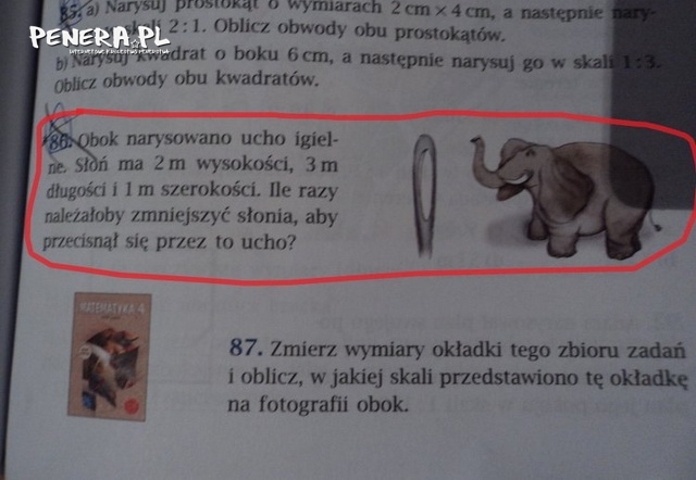 Zadanie dla dzieci klas 4