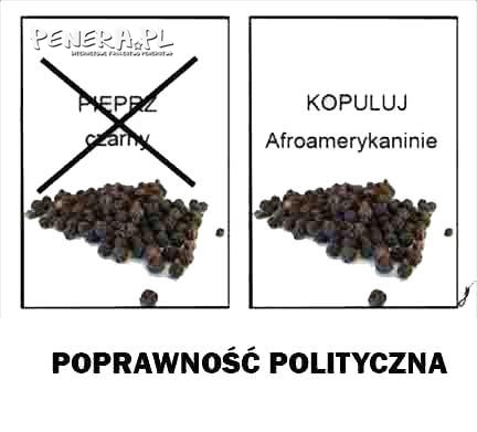 Poprawność polityczna