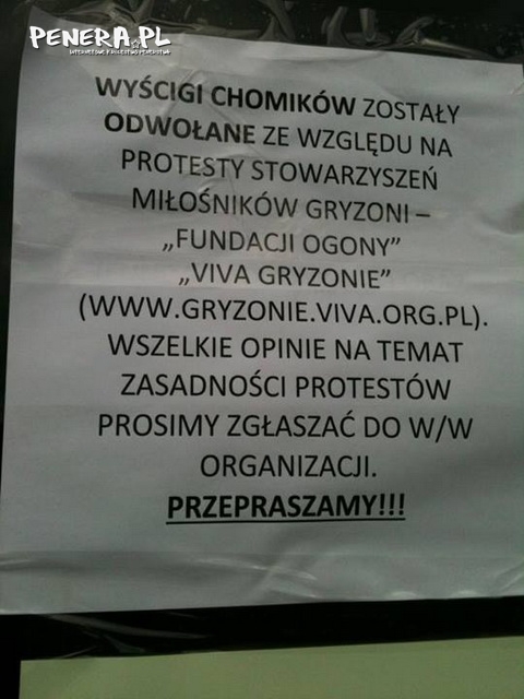 Wyścigi chomików zostały oddwołane