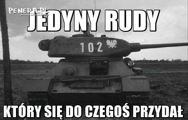 Jedyny Rudy