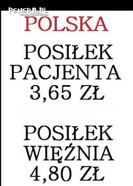 Polska kraj absurdów