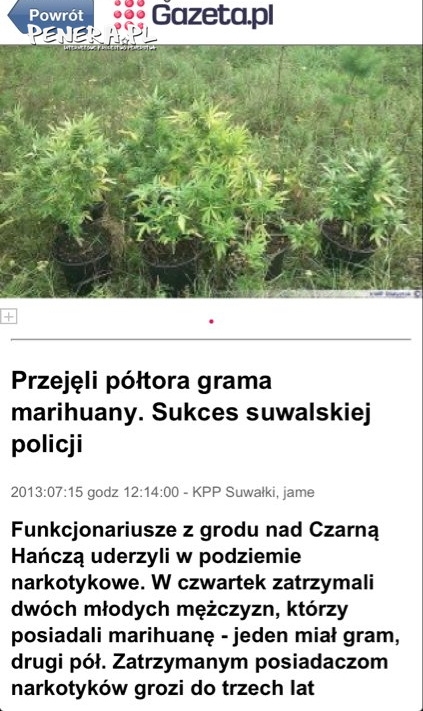 Spektakularna akcja policji