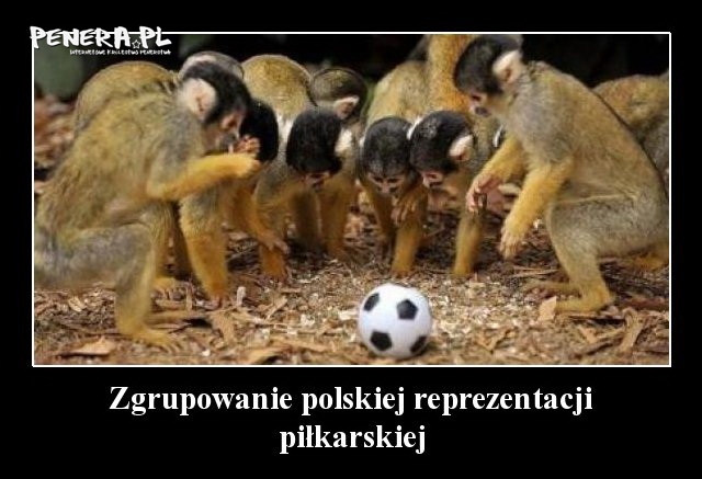 Zgrupowanie polskiej reprezentacji