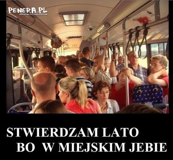 Stwierdzam lato