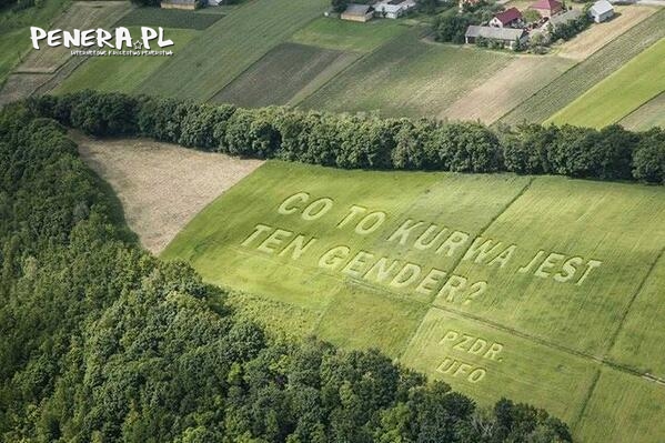 On i też się zastanawiają