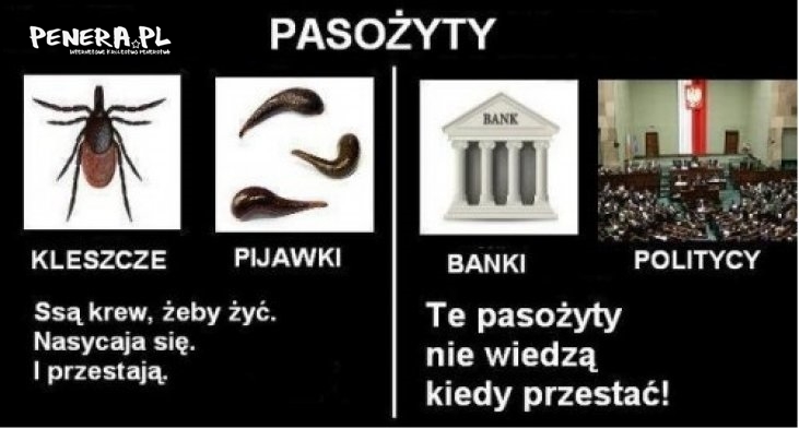 Pasożyty