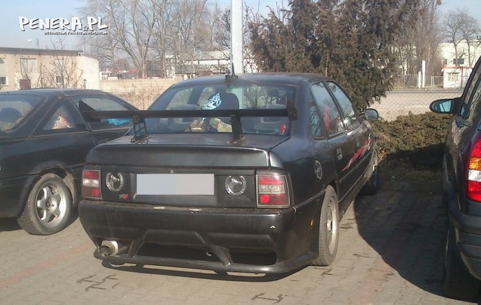 Opel na wypasie