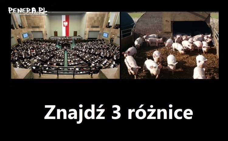 Znajdź trzy różnice