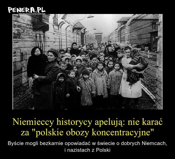 Niemieccy historycy apelują -nie karać za kłamstwo