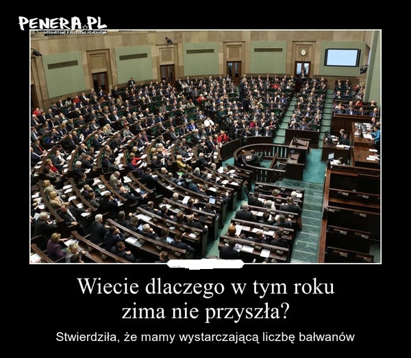 W Polsce bałwany nie narzekały na brak zimyy.