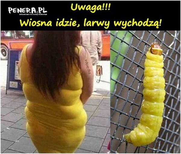 Wiosna idzie