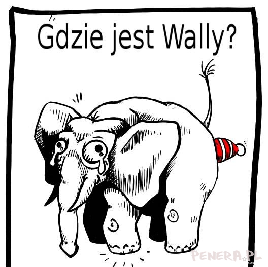 Gdzie jest Wallly?