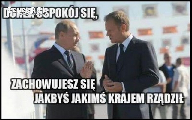 Donek uspokój się