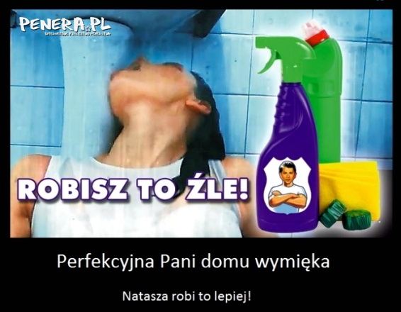 Perfekcyjna Pani domu