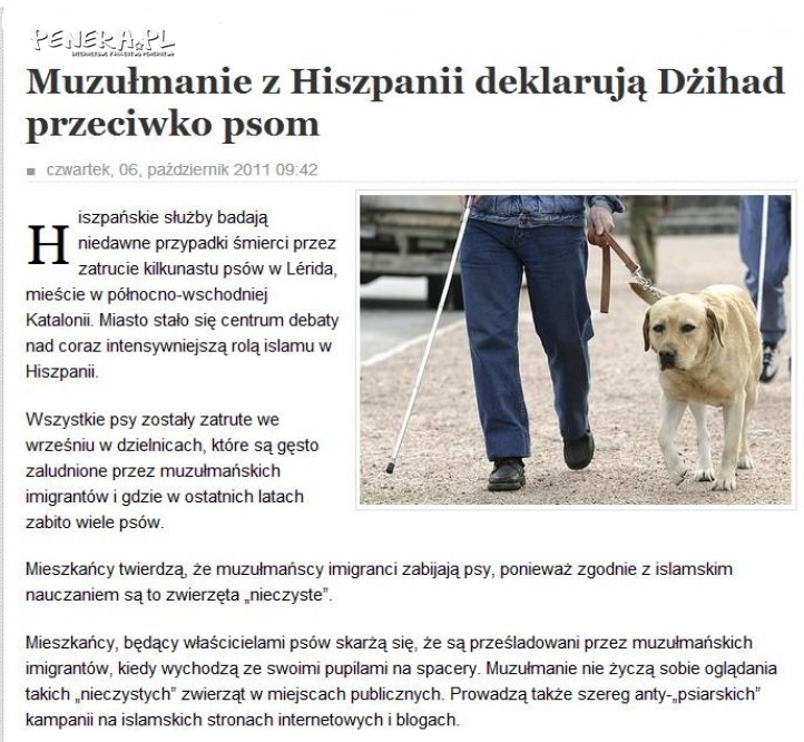 Dżihad przeciwko psom