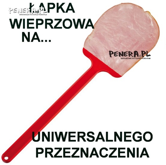 Łapka na...