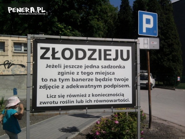 Złodzieju oddaj sadzonki!