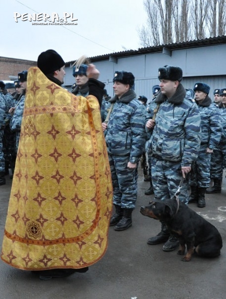 W Rosji nawet ubierają się w dywany