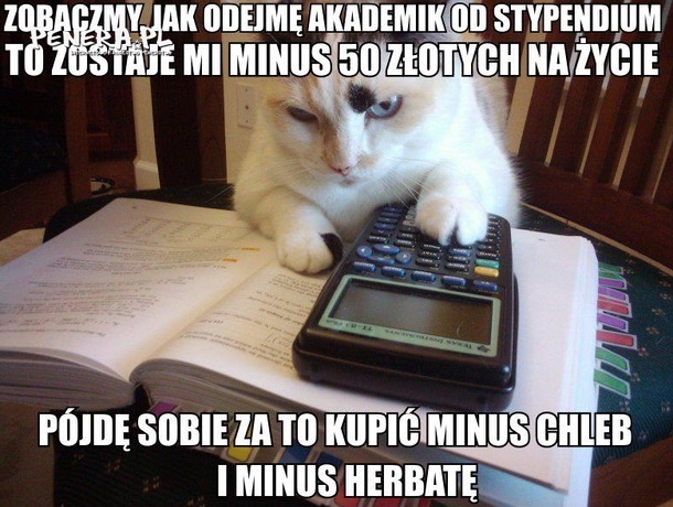 Studenckie życie na bogato