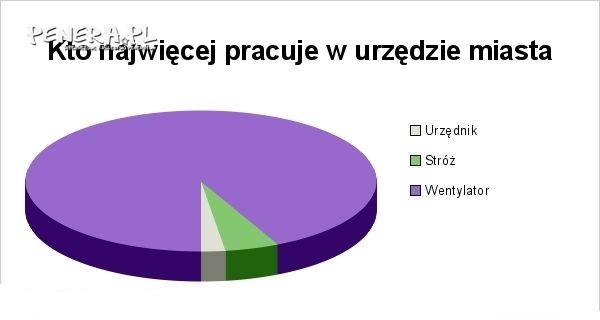 Kto najwięcej pracuje w urzędzie miasta?