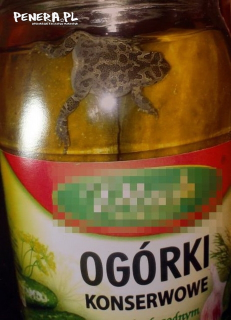 Ogórki z gratisem