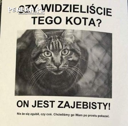 Ogłoszenie na drzewie